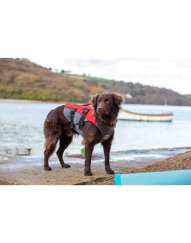 RED Original Dog Buoyancy Aid (Red)