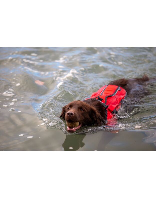 RED Original Dog Buoyancy Aid (Red)
