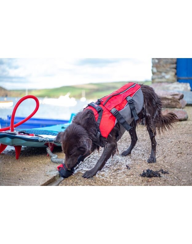RED Original Dog Buoyancy Aid (Red)